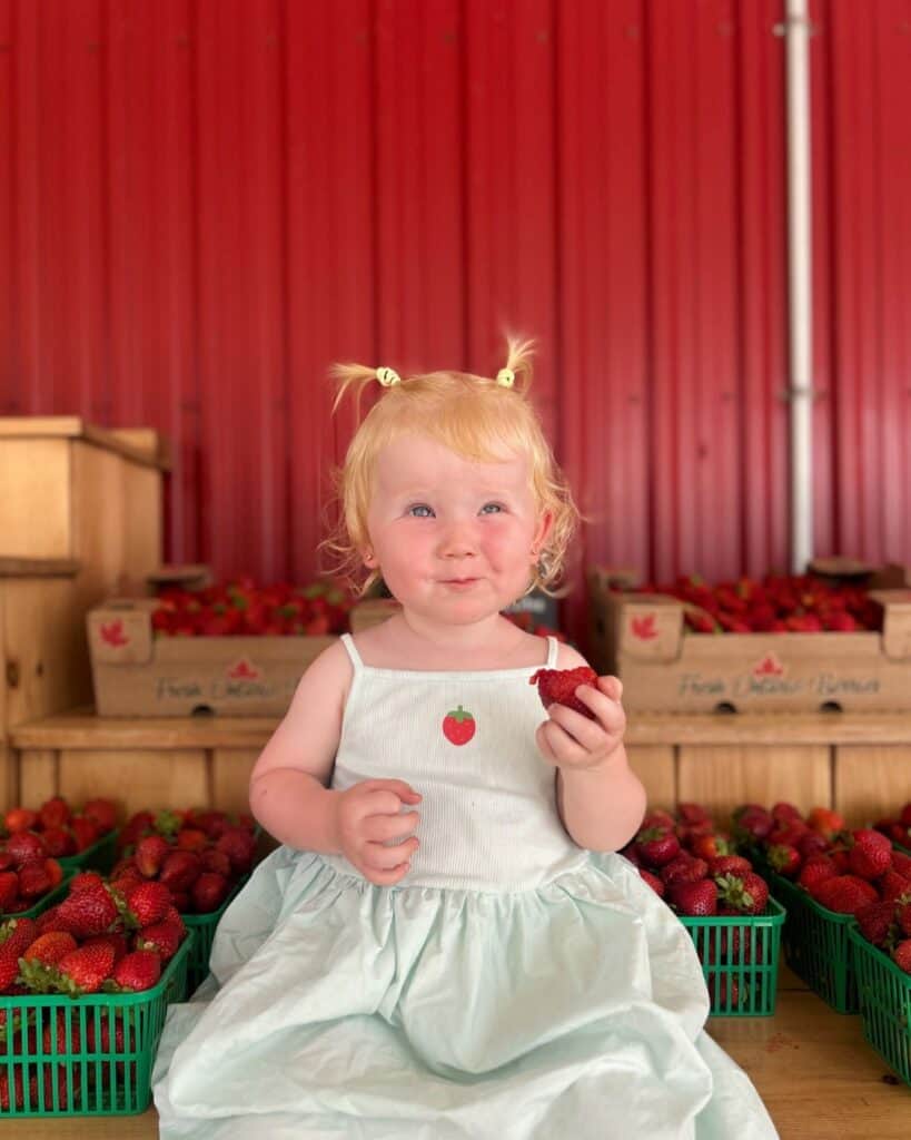 Child enjoying a bite of a fresh strawberry at the farm stand