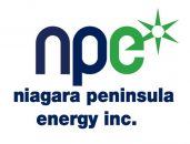 fina l100th logo npei